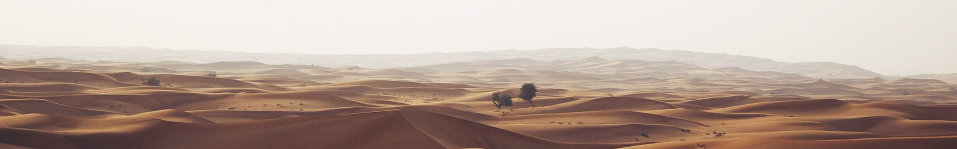 ݺܵװ޹˾